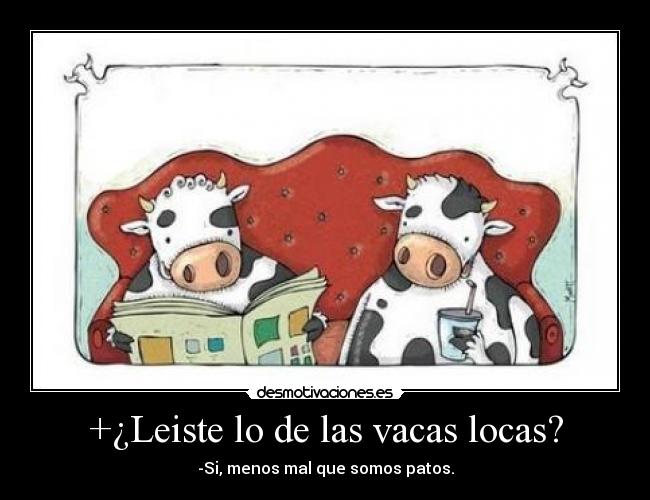 +¿Leiste lo de las vacas locas? - 
