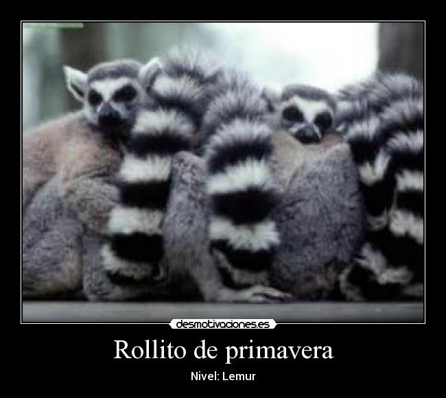 Rollito de primavera - 