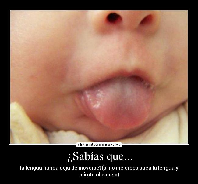 ¿Sabías que... - la lengua nunca deja de moverse?(si no me crees saca la lengua y mirate al espejo)