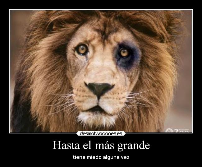 Hasta el más grande - tiene miedo alguna vez