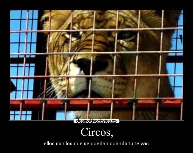 Circos, - ellos son los que se quedan cuando tu te vas.