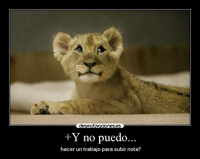 +Y no puedo... - hacer un trabajo para subir nota?