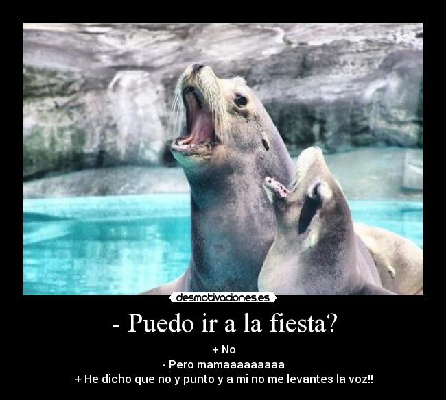 - Puedo ir a la fiesta? - + No
- Pero mamaaaaaaaaa
+ He dicho que no y punto y a mi no me levantes la voz!!