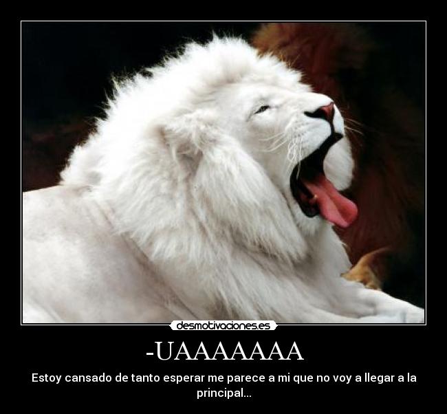 -UAAAAAAA - Estoy cansado de tanto esperar me parece a mi que no voy a llegar a la principal...