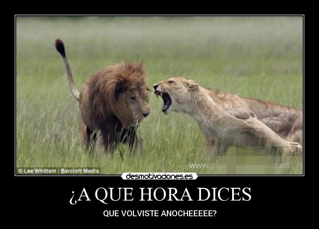 ¿A QUE HORA DICES -