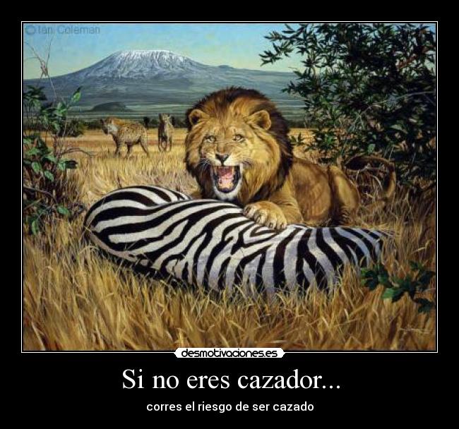 Si no eres cazador... - corres el riesgo de ser cazado