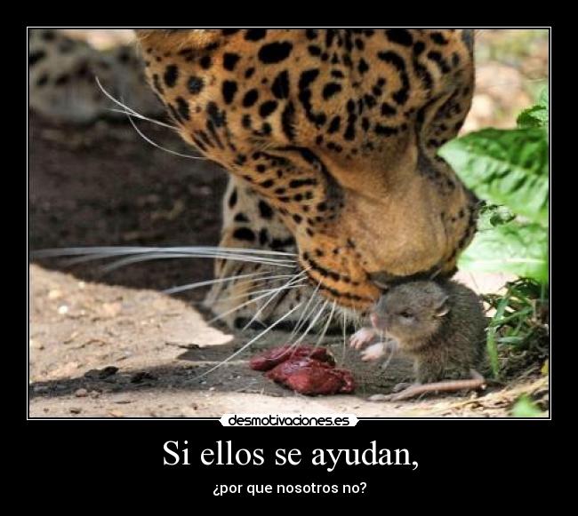 carteles flipy89 ayudan desmotivaciones