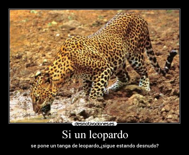 Si un leopardo - se pone un tanga de leopardo,¿sigue estando desnudo?