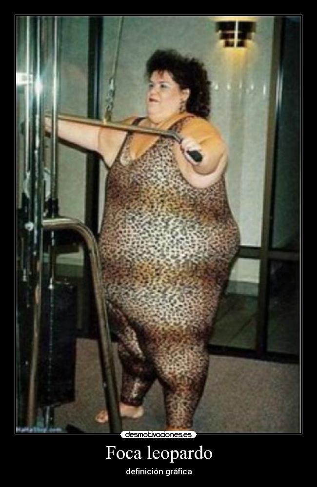 Foca leopardo - definición gráfica