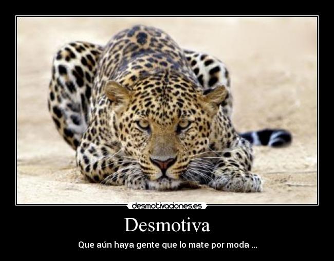 Desmotiva - Que aún haya gente que lo mate por moda ...