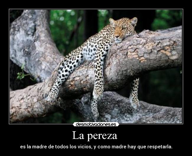 La pereza - es la madre de todos los vicios, y como madre hay que respetarla.