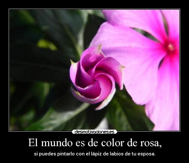 El mundo es de color de rosa, - si puedes pintarlo con el lápiz de labios de tu esposa.