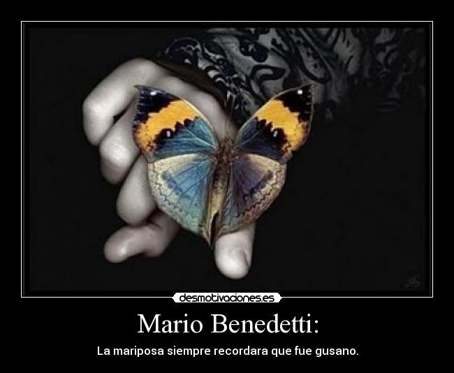 carteles  desmotivaciones