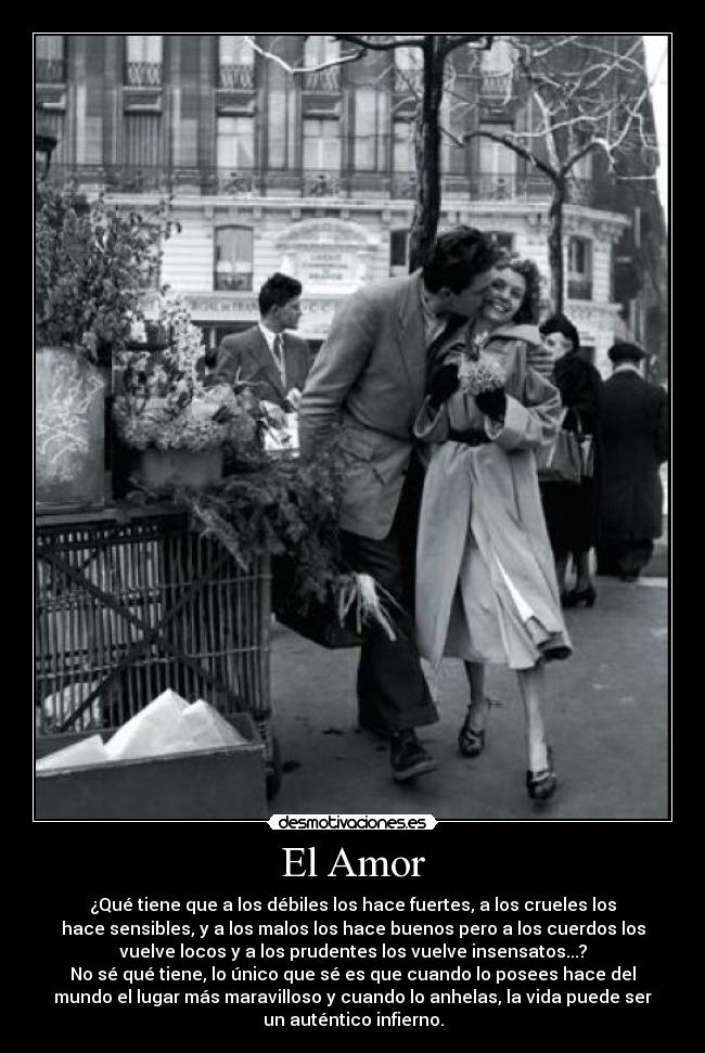 El Amor - 