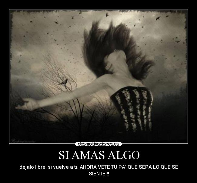 carteles libre desmotivaciones