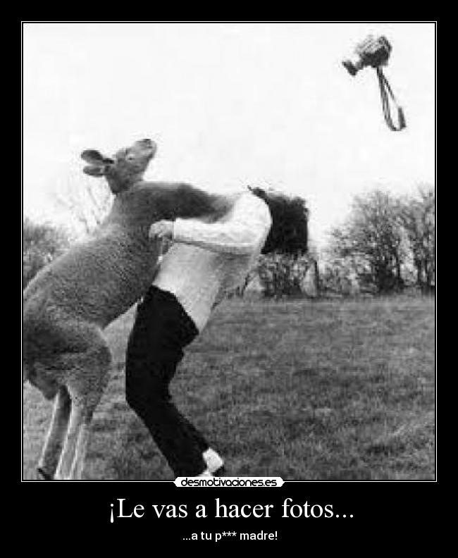 ¡Le vas a hacer fotos... - ...a tu p*** madre!
