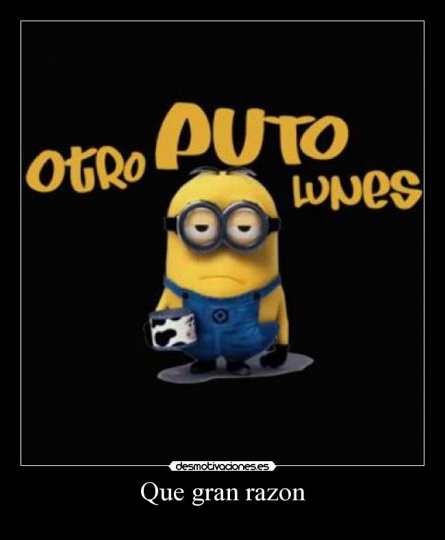 Que gran razon - 