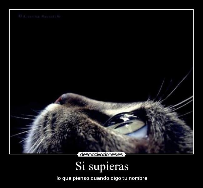 Si supieras - lo que pienso cuando oigo tu nombre