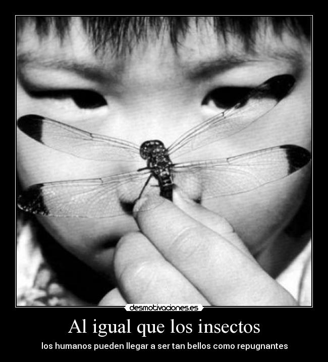 Al igual que los insectos - los humanos pueden llegar a ser tan bellos como repugnantes