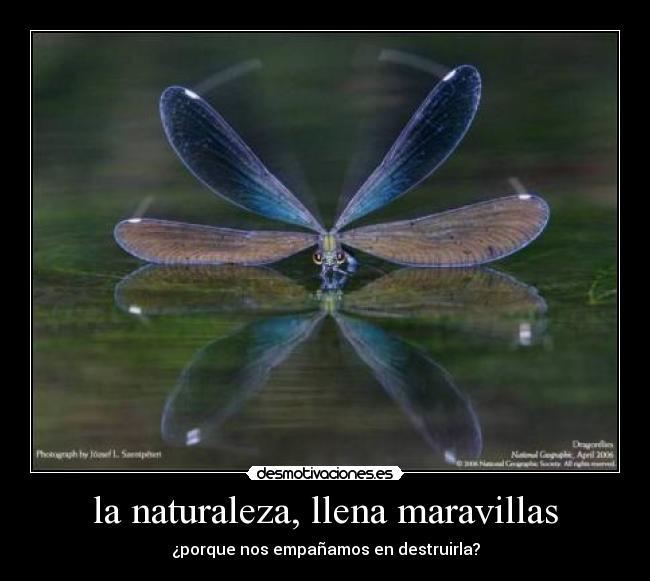 la naturaleza, llena maravillas - ¿porque nos empañamos en destruirla?
