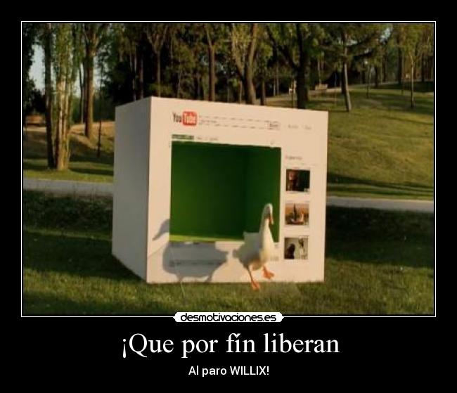 ¡Que por fín liberan - Al paro WILLIX!