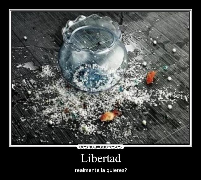 Libertad - realmente la quieres?