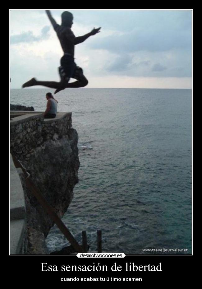 carteles libertad libertad desmotivaciones