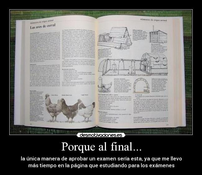 Porque al final... - la única manera de aprobar un examen sería esta, ya que me llevo
más tiempo en la página que estudiando para los exámenes