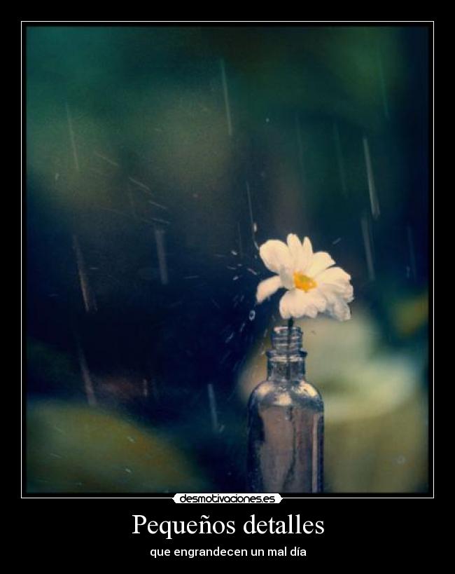 Pequeños detalles - que engrandecen un mal día