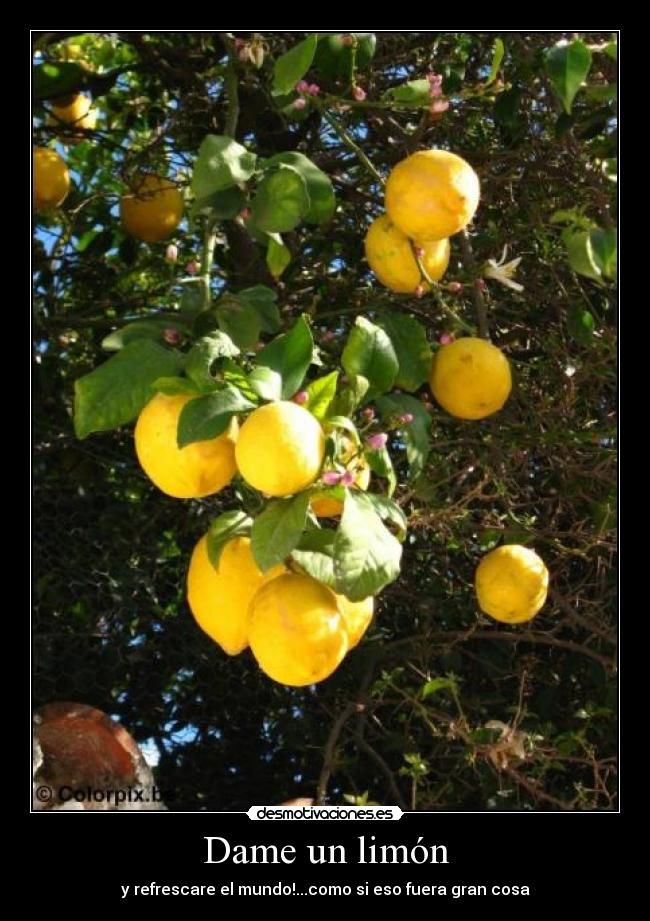 carteles desmotivaciones desmotivaciones