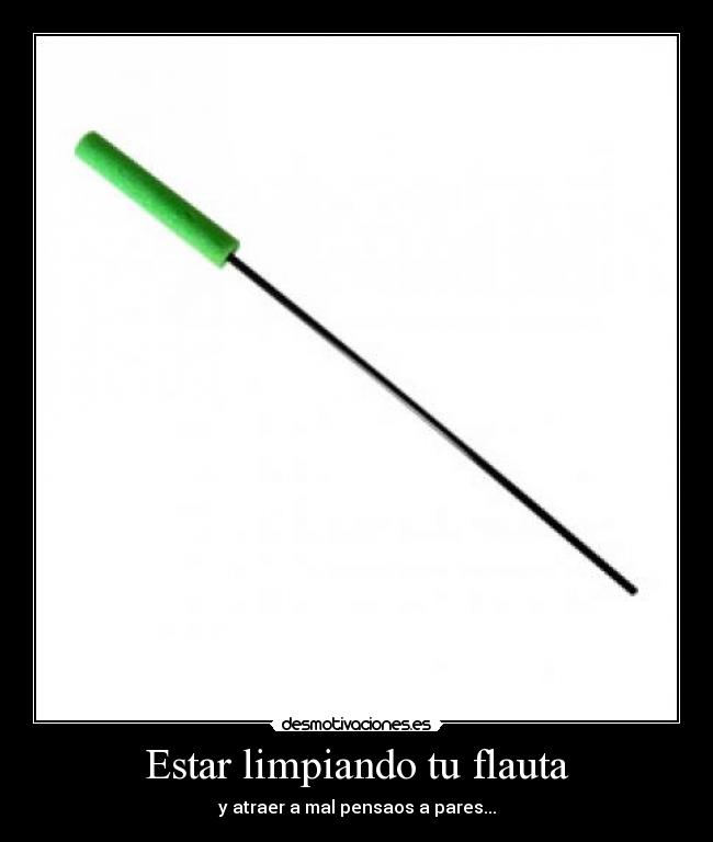 Estar limpiando tu flauta - y atraer a mal pensaos a pares...