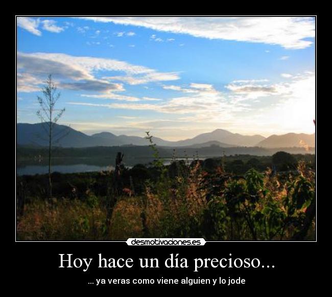 Hoy hace un día precioso... -