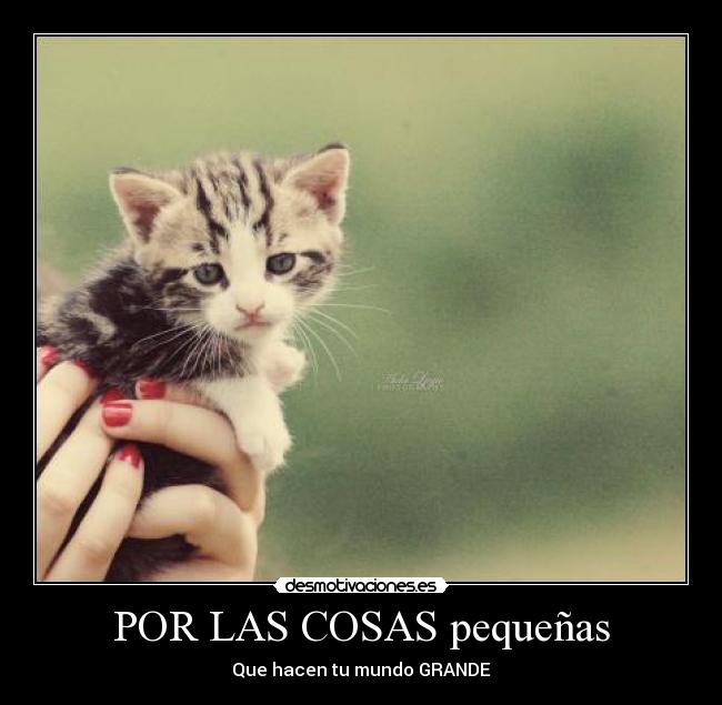 POR LAS COSAS pequeñas - Que hacen tu mundo GRANDE