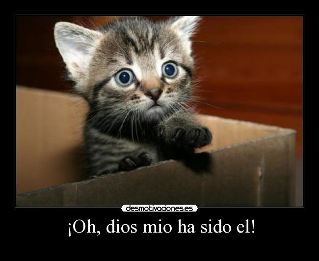 ¡Oh, dios mio ha sido el! - 