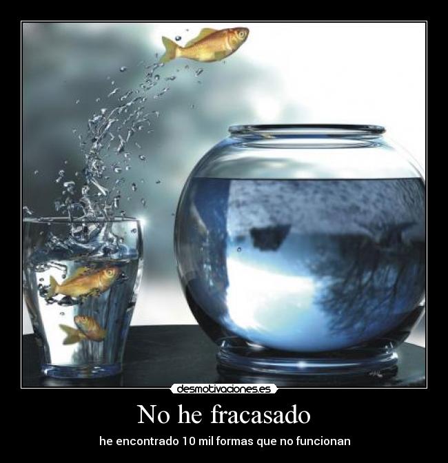No he fracasado -