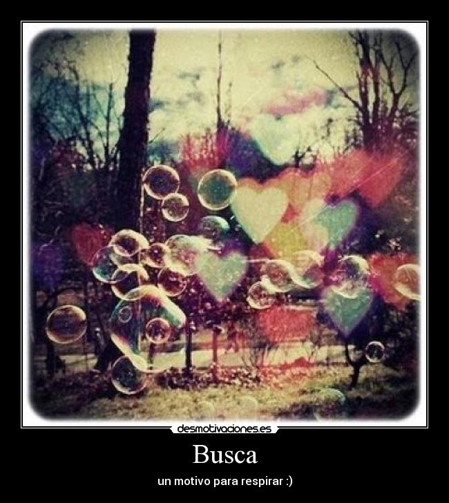 Busca -