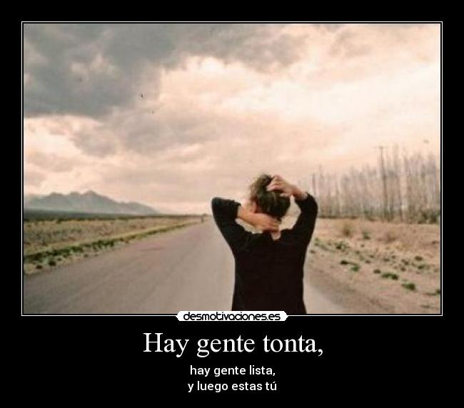 carteles hay gente tonta desmotivaciones