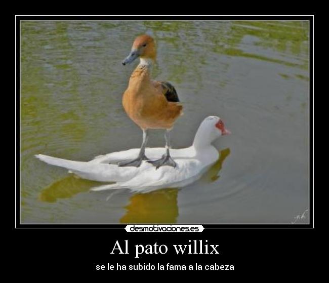 Al pato willix - se le ha subido la fama a la cabeza