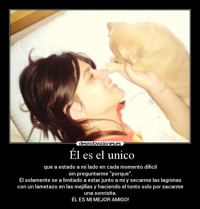 Él es el unico - que a estado a mi lado en cada momento dificil
sin preguntarme porque.
Él solamente se a limitado a estar junto a mi y secarme las lagrimas
con un lametazo en las mejillas y haciendo el tonto solo por sacarme
una sonrisita.
ÉL ES MI MEJOR AMIGO!