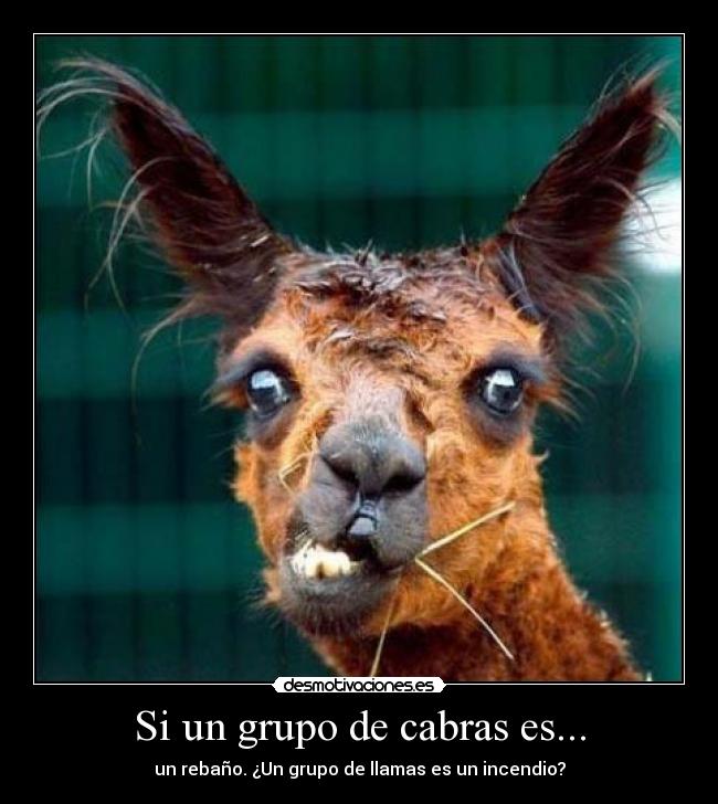 carteles dfghjk desmotivaciones