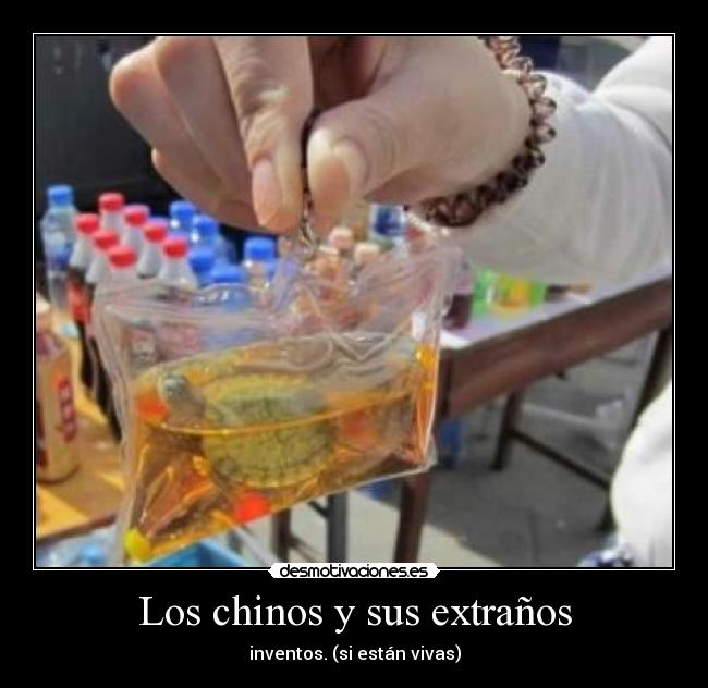 Los chinos y sus extraños - inventos. (si están vivas)