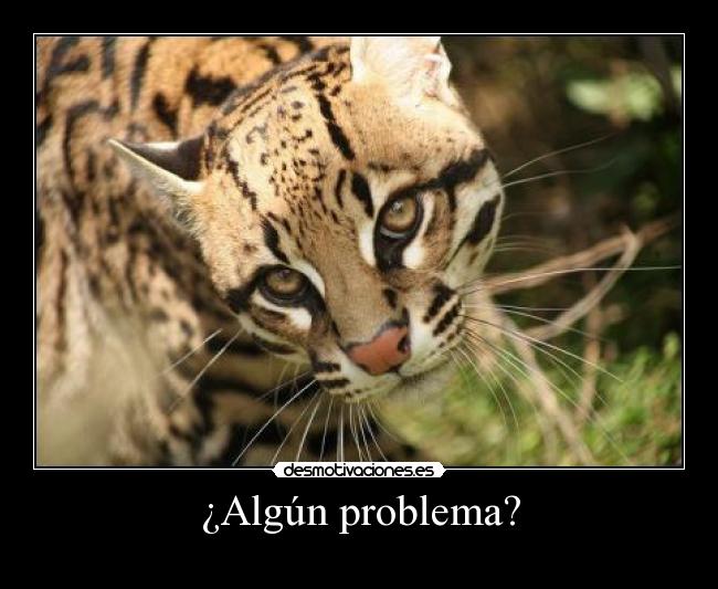 ¿Algún problema? - 