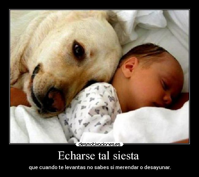 Echarse tal siesta - que cuando te levantas no sabes si merendar o desayunar.