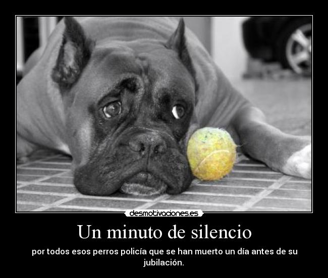 Un minuto de silencio - por todos esos perros policía que se han muerto un día antes de su jubilación.