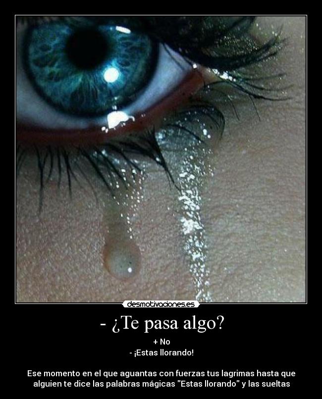 - ¿Te pasa algo? - + No
- ¡Estas llorando!
Ese momento en el que aguantas con fuerzas tus lagrimas hasta que
alguien te dice las palabras mágicas Estas llorando y las sueltas