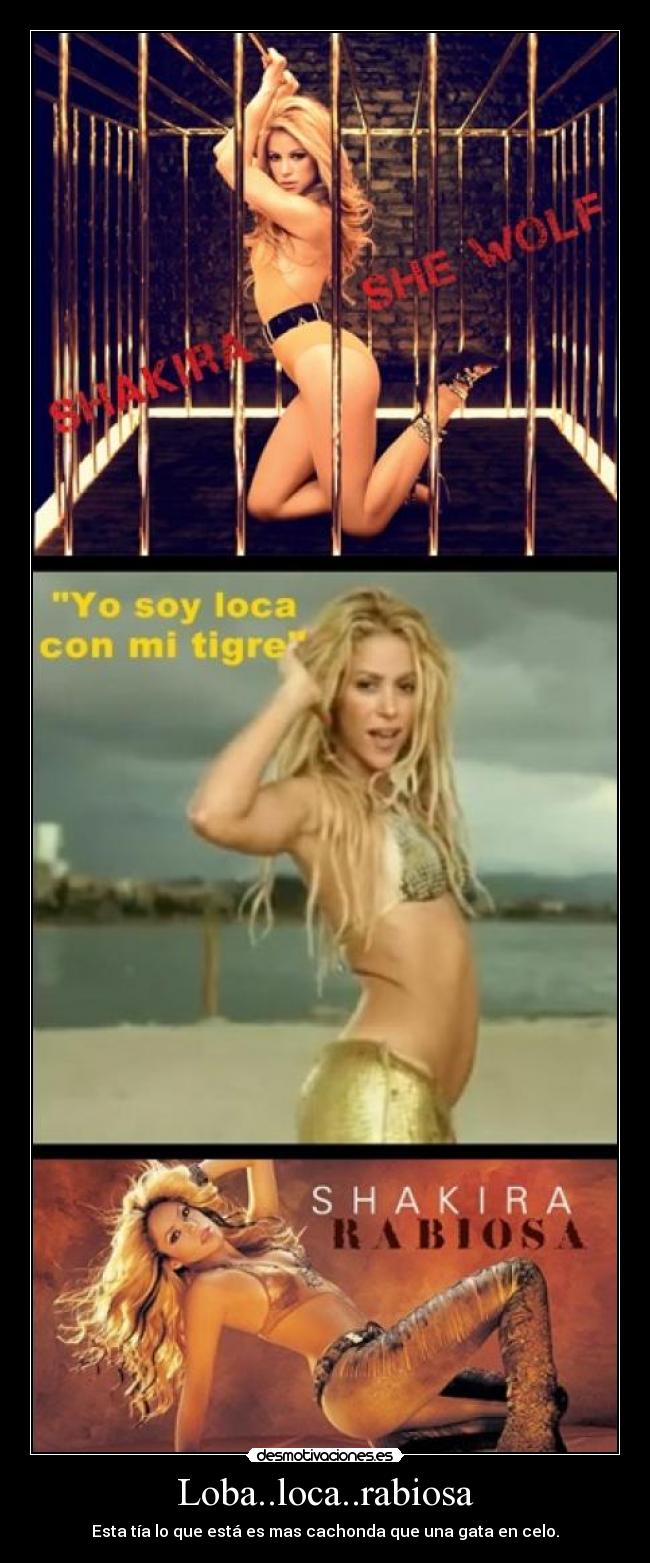 carteles albinsja desmotivaciones