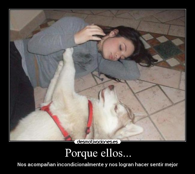 Porque ellos... -