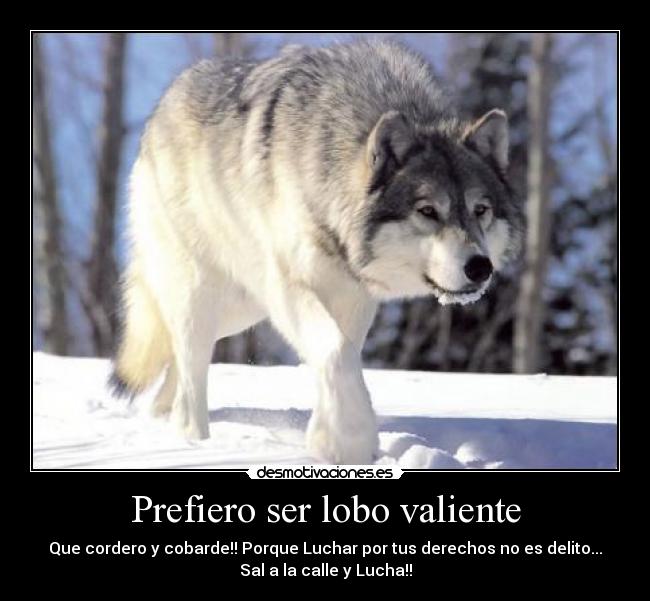 Prefiero ser lobo valiente -