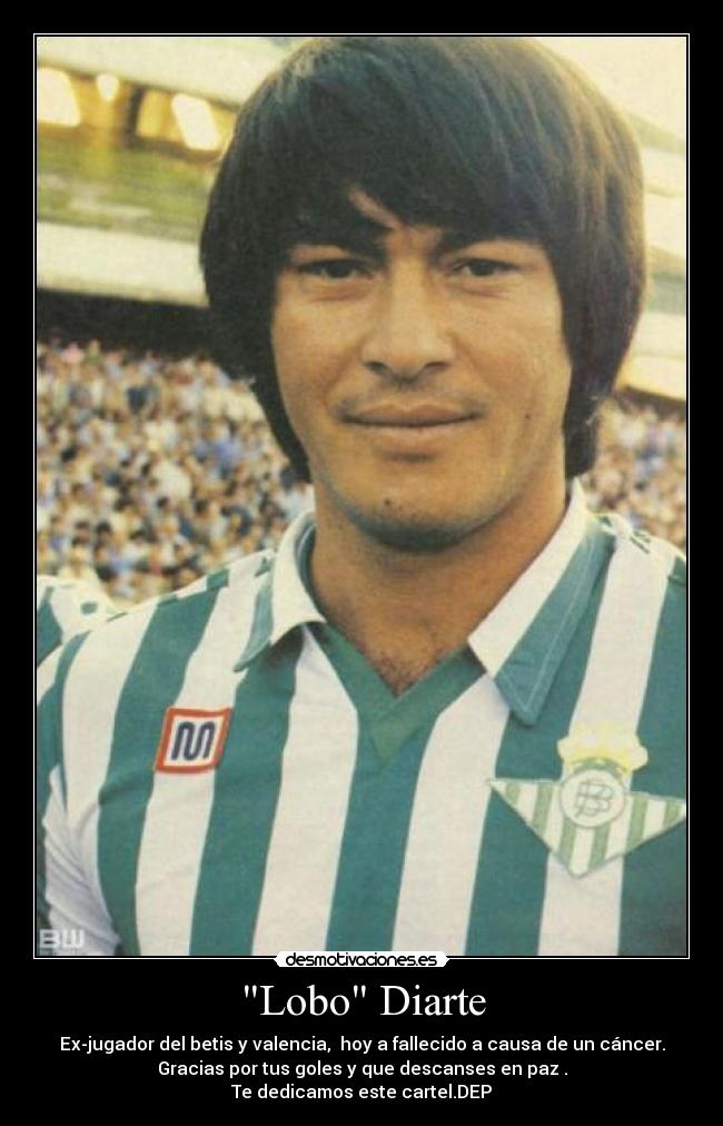 Lobo Diarte -