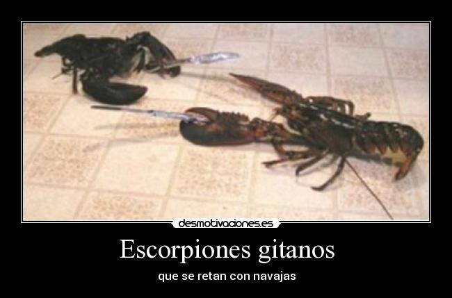 carteles desmotivaciones